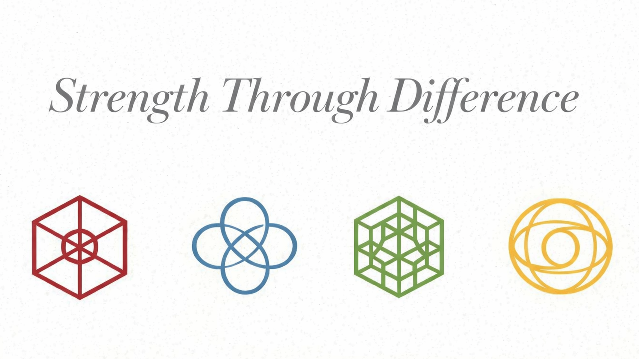 CDMO Network, Strength Through Difference