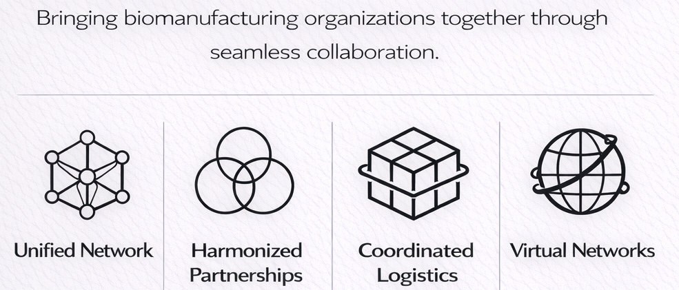 CDMO Network overview