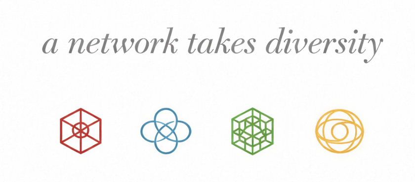 Diversity takes a Network