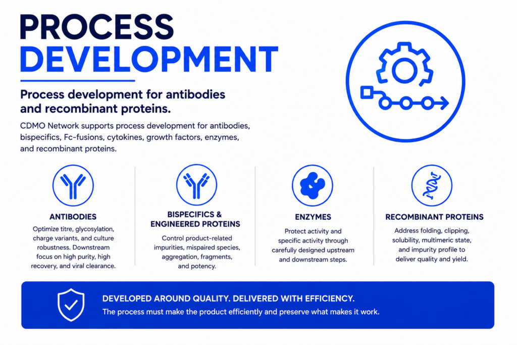 Process Development CDMO banner for antibodies and recombinant proteins, highlighting antibodies, bispecifics, enzymes, and recombinant protein process optimization around quality, recovery, efficiency, and product performance.